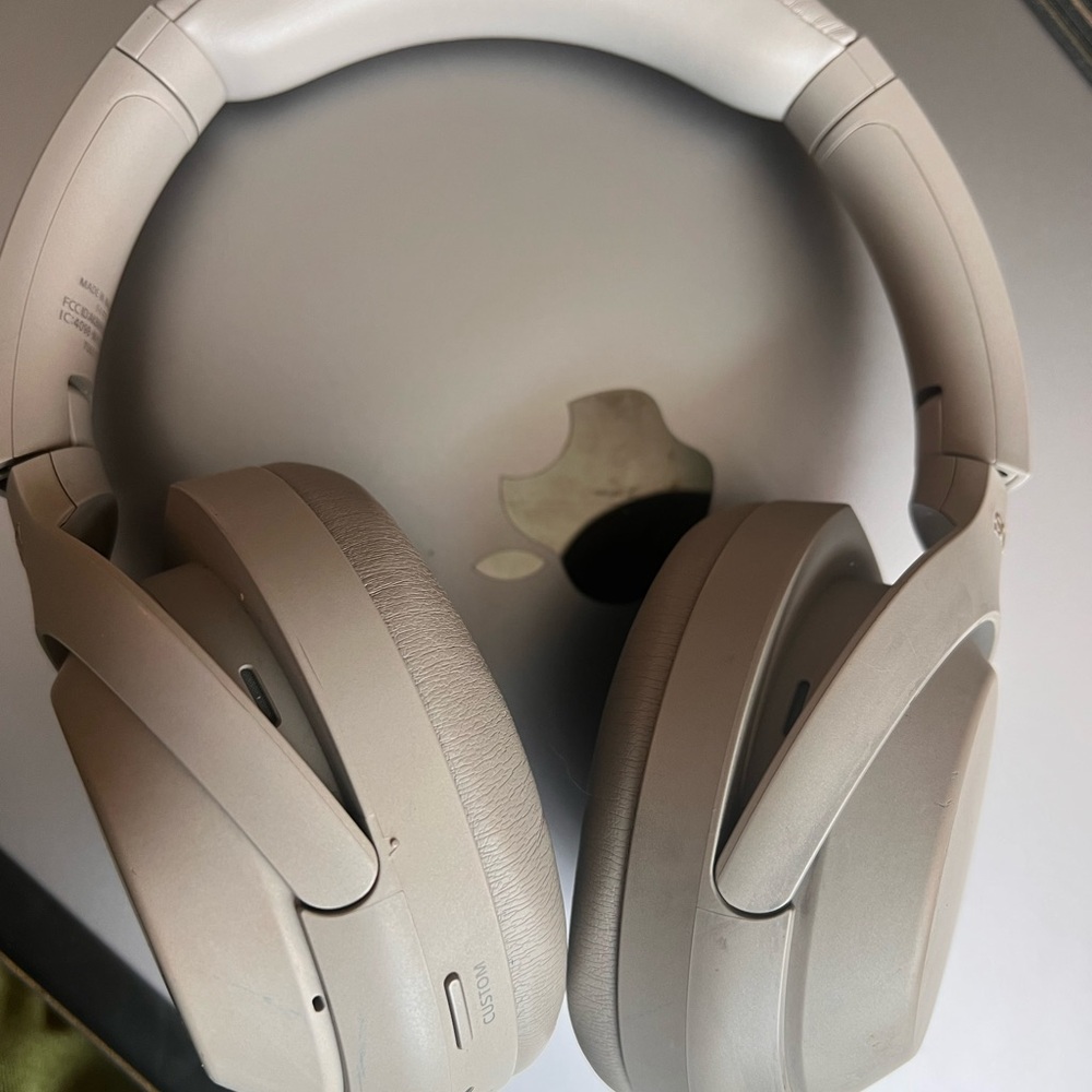 Sony Wireless Noise-Canceling Headphones - Gray with cool custom case